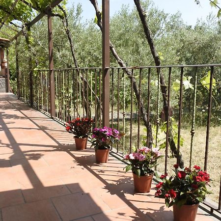 Casa Vacanza Etna Evergreen Villa ปิเอดิมอนเต เอตเนโอ ภายนอก รูปภาพ