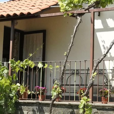 Casa Vacanza Etna Evergreen Villa ปิเอดิมอนเต เอตเนโอ ภายนอก รูปภาพ