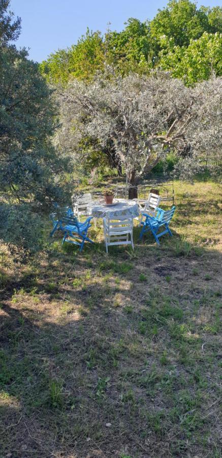 Casa Vacanza Etna Evergreen Villa ปิเอดิมอนเต เอตเนโอ ภายนอก รูปภาพ